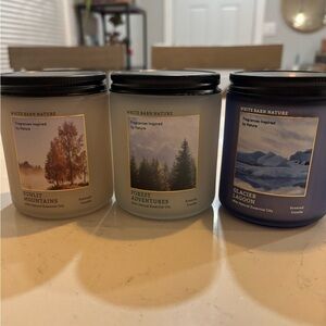 White Barn Nature Single Wick Candle Lot NWT